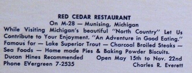 The Red Cedar - Vintage Postcard
